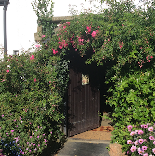 Our Front Door - Click Here for Our Contact Page